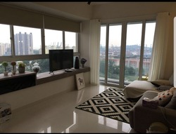 The Regency At Tiong Bahru (D3), Condominium #178237952